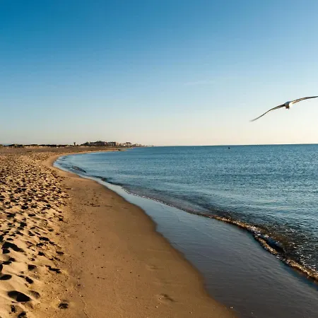Apartment Le Beaupre IV Canet Plage *